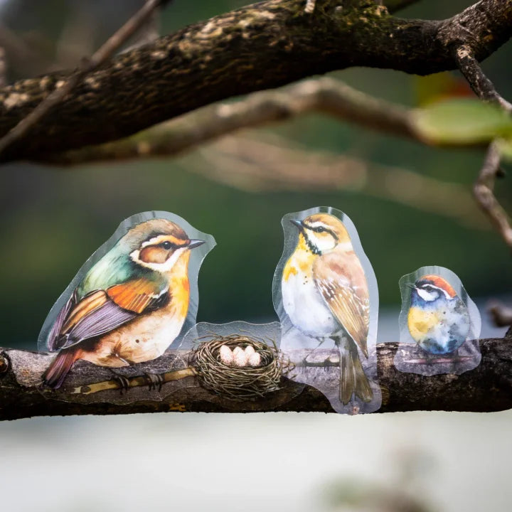 45mm*200cm Birds Among The Cloud Series Cute Bird Landscaping Pet Tape