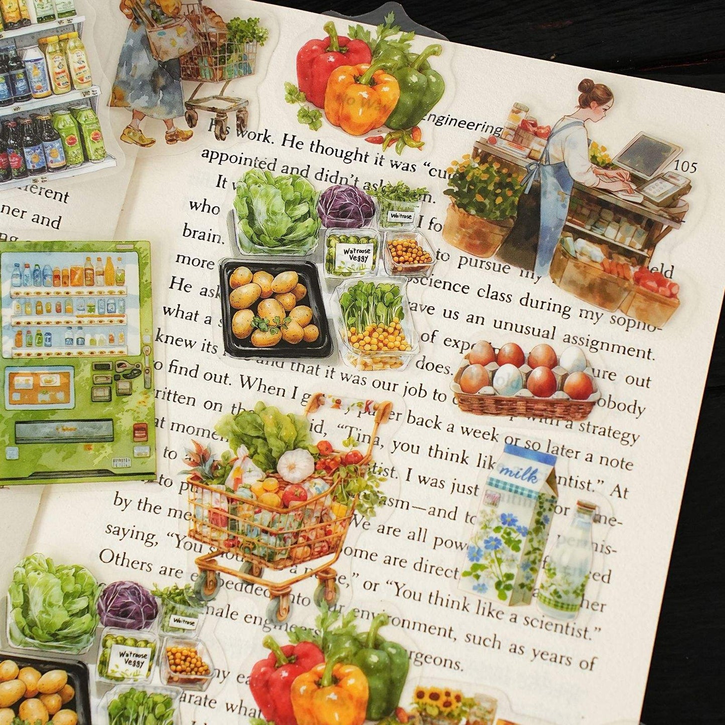 15 Pcs Life Observation Diary Series Vintage Plant Character pet sticker