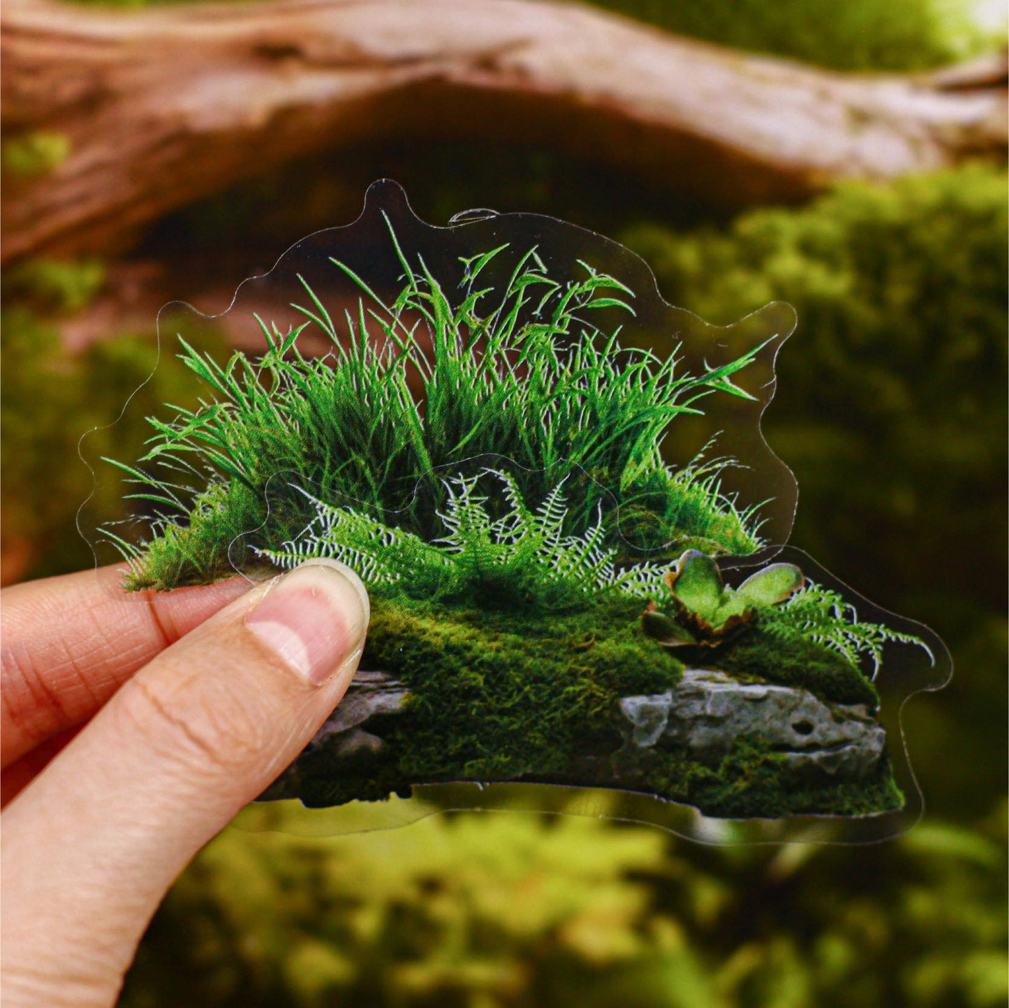 20 Pcs Moss Series Wood Themed Decoration Stickers