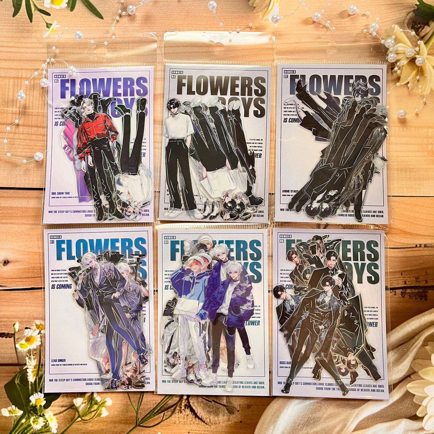 10 Pcs Men Themed Korean singer pet sticker pack