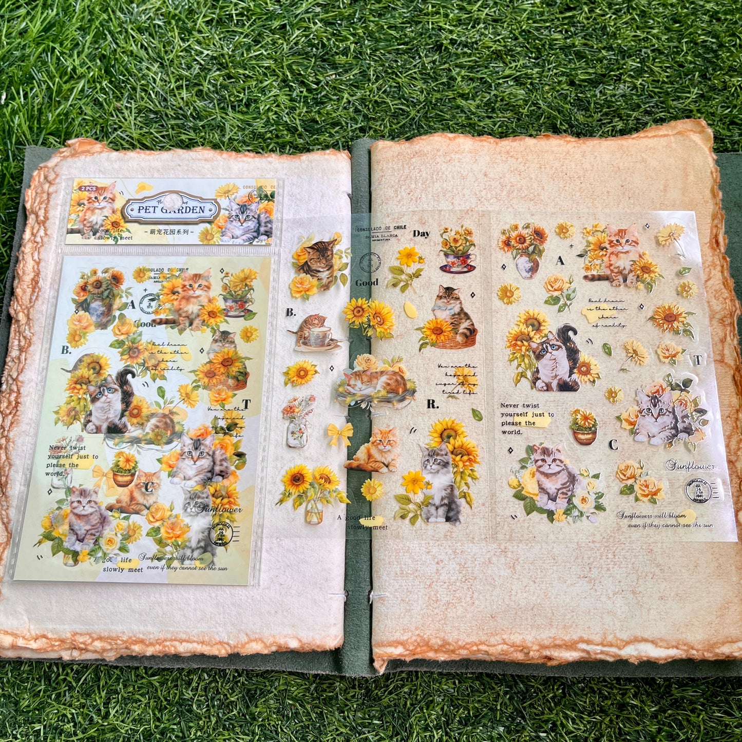 2pieces/pack Cute Pet Garden Series Retro PET Sticker pack