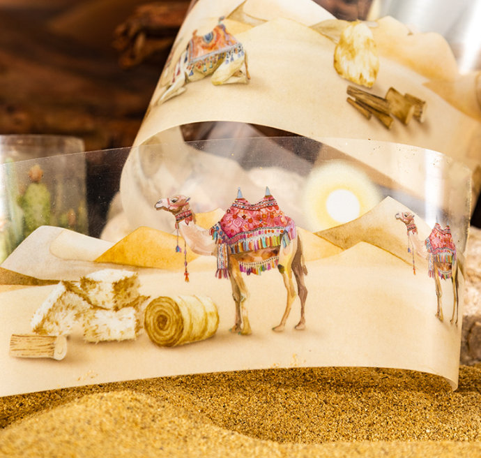50mm*200cm Desert Trip Series Vintage Cactus Desert Camel Landscaping PET tape