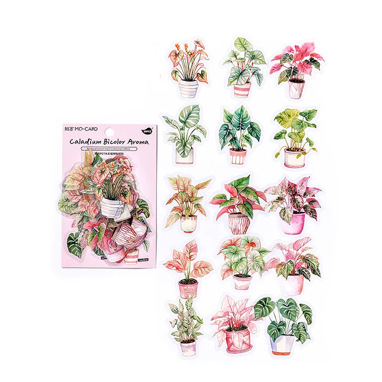 30 Pcs Vintage Floral Watercolor Plant PET Sticker
