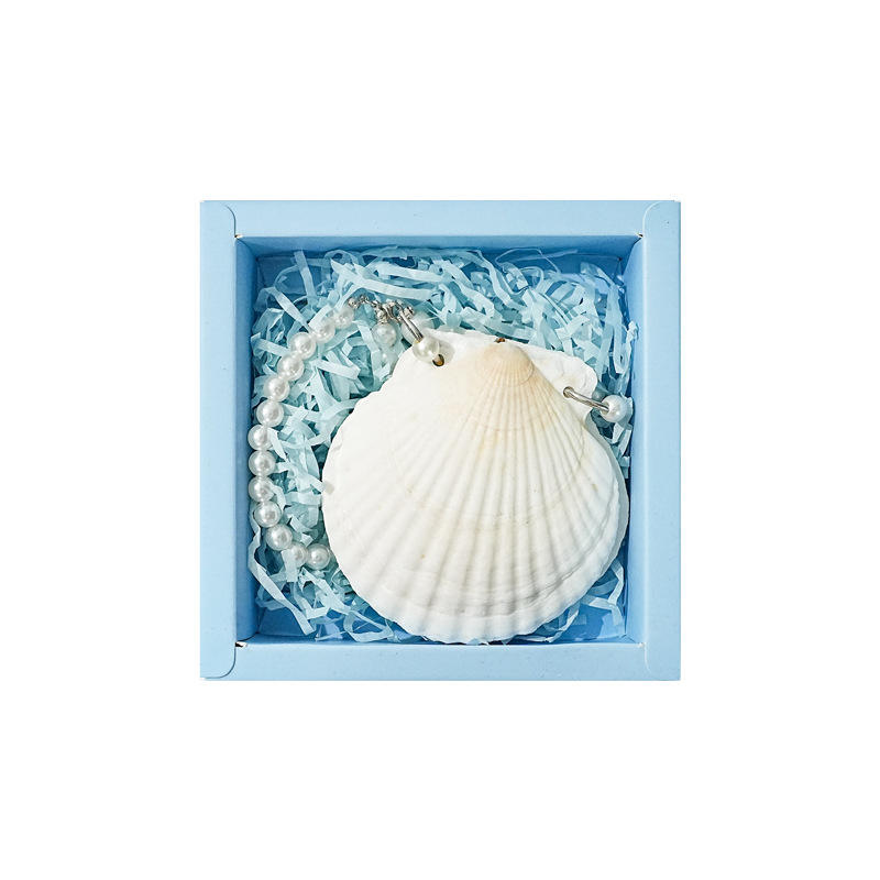 1 Pure White Seashells Handcrafted Eco Friendly Seaside Souvenir Journal