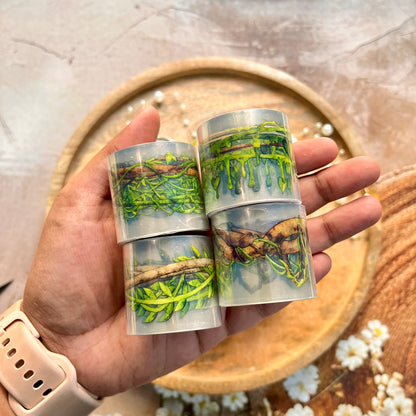 1 roll Forest Vine Branches Pet Tape For Scrapbooking