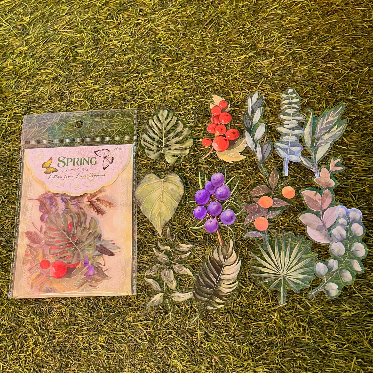 20 Pcs Letters From Four Seasons Series Vintage Plant Flower PET Sticker