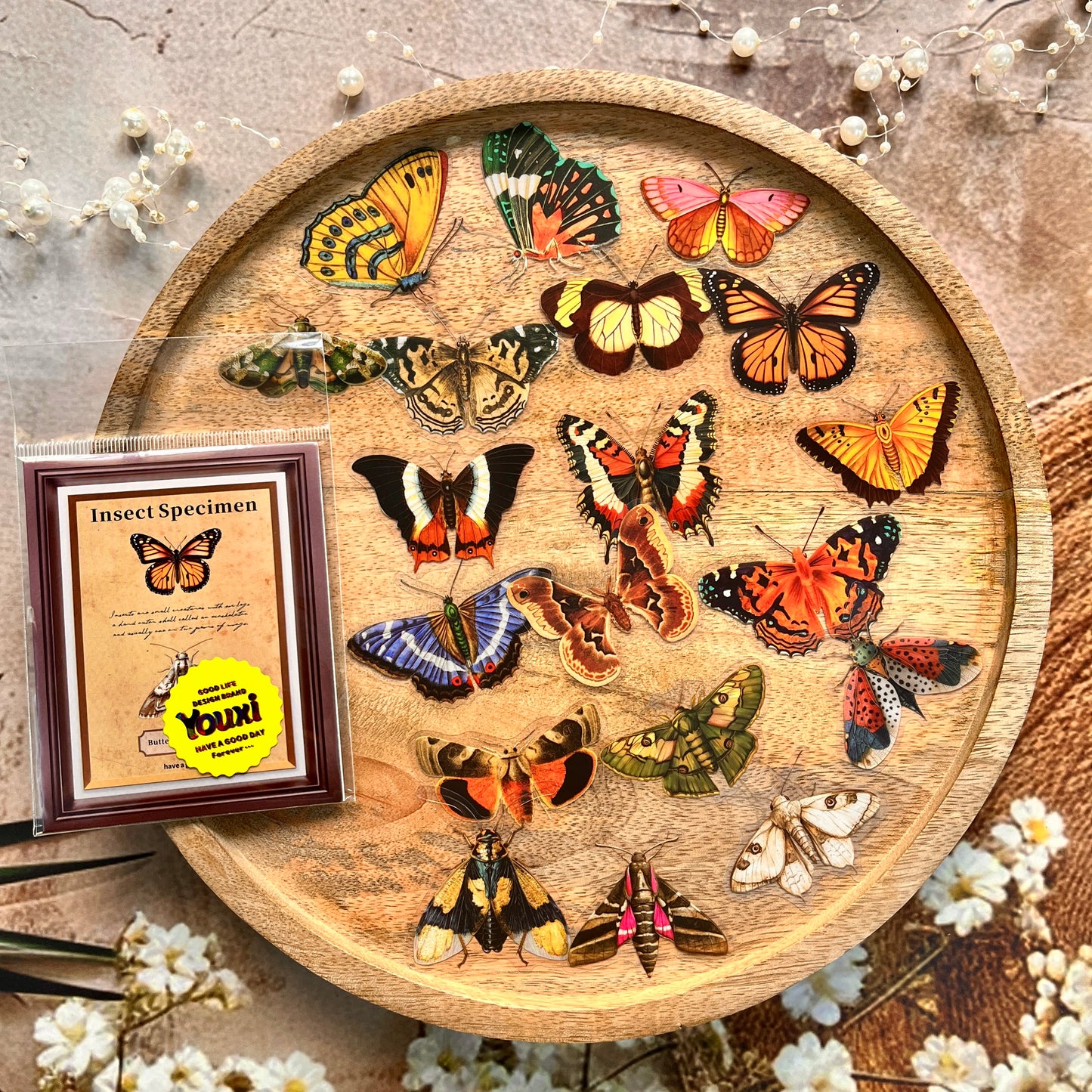 25 Pcs Insect Specimen Picture Book Series Insect-themed PET Stickers