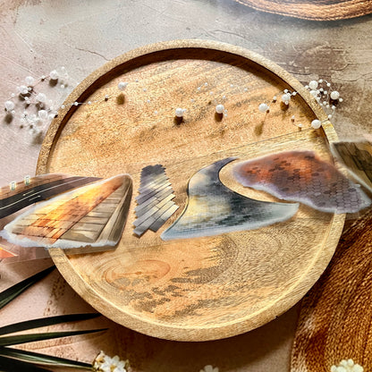 Neon Alley Lane Night Road Pet Tape for Journaling