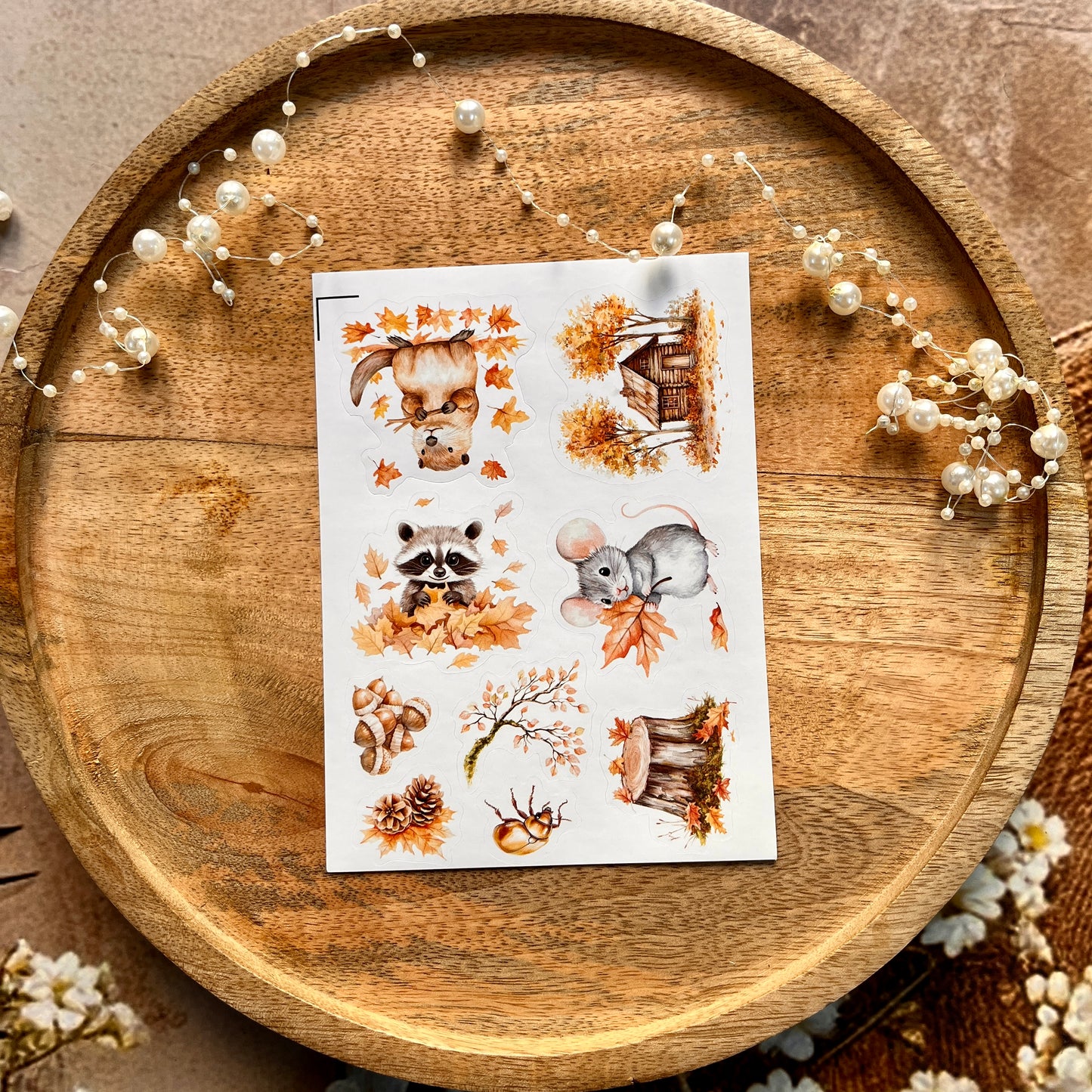 4 Sheets Fox and Forest Animals Autumn in the forest Sticker Sheets