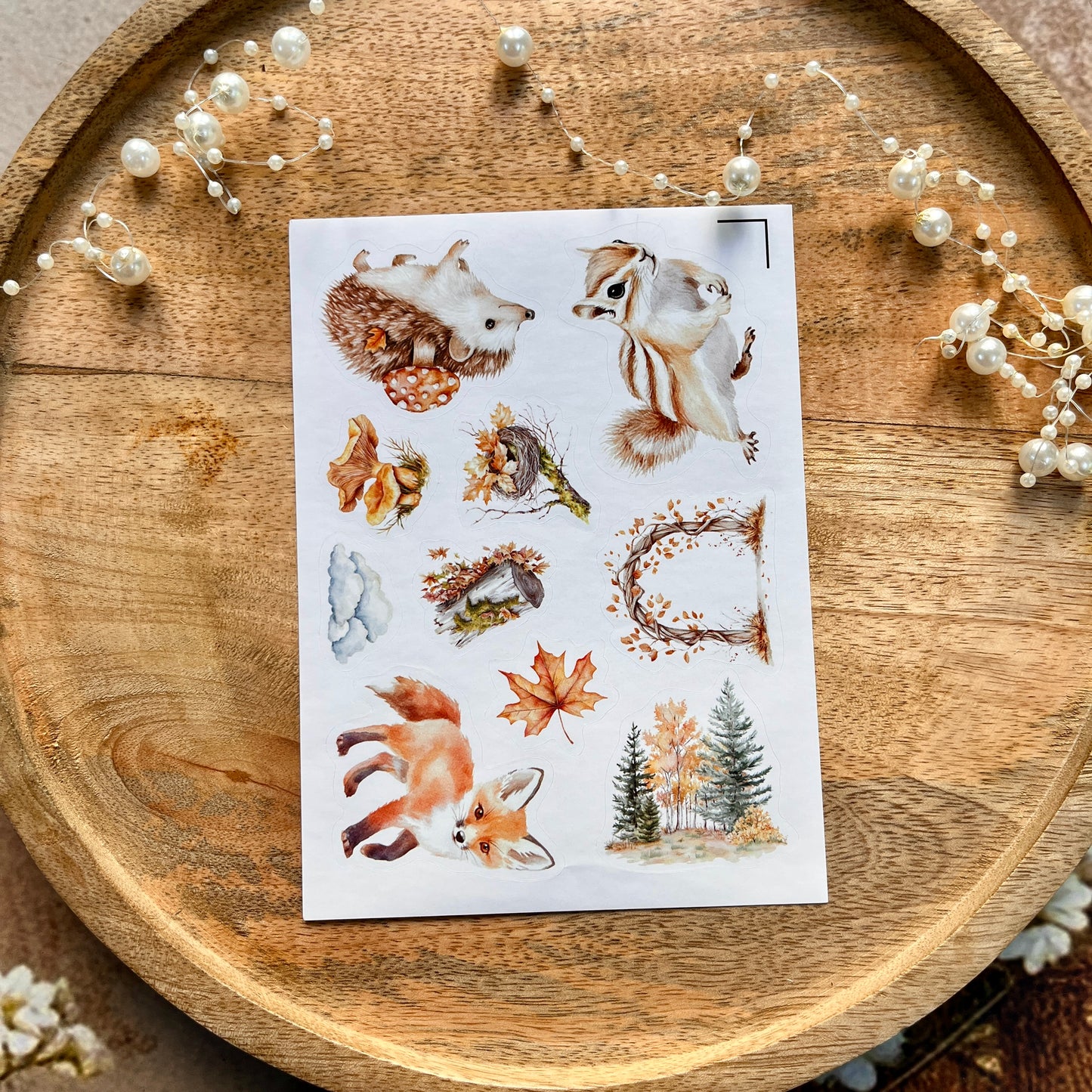 4 Sheets Fox and Forest Animals Autumn in the forest Sticker Sheets