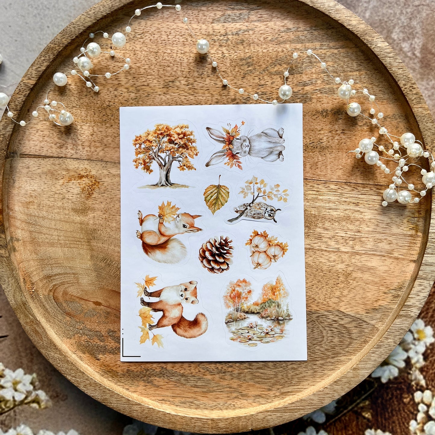 4 Sheets Fox and Forest Animals Autumn in the forest Sticker Sheets