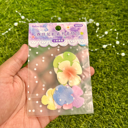 30pcs/pack Spring Flower Shadow Series Handbook Decoration Material Pack