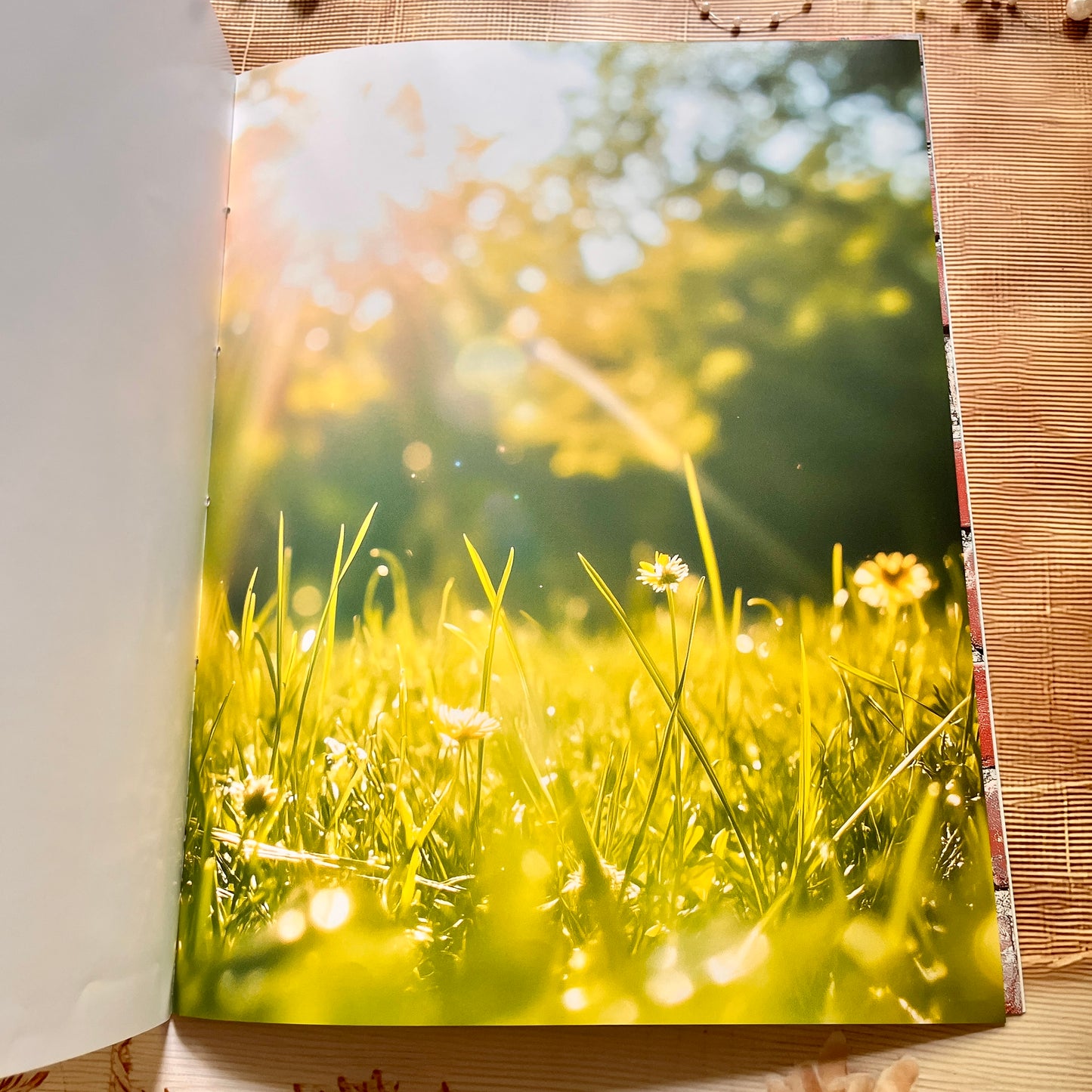 20 Sheets Vision Inspirational Dreams and Goals Vision Board Sticker Book