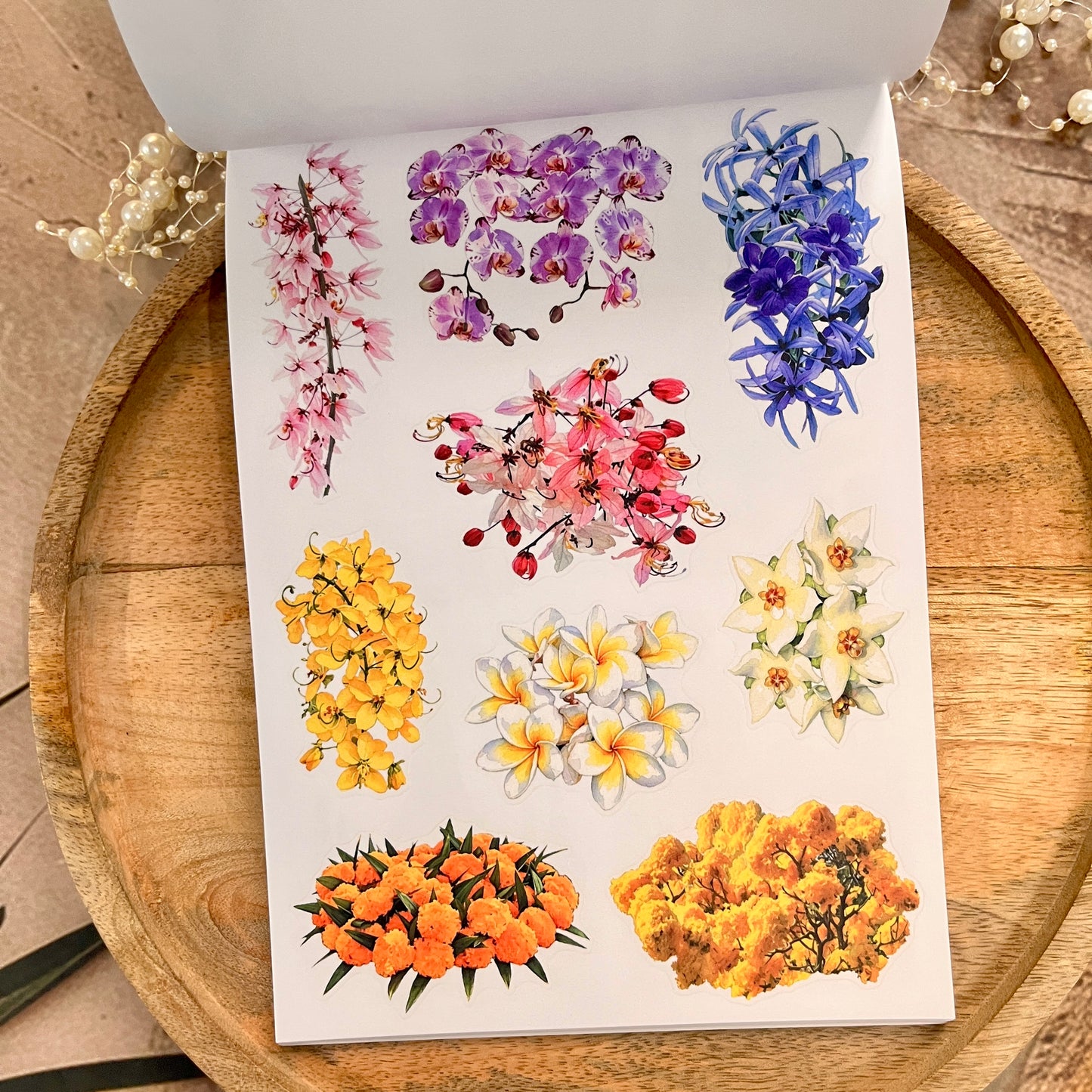 20 Sheets Taste of Thailand Sticker Book for Scrapbooking