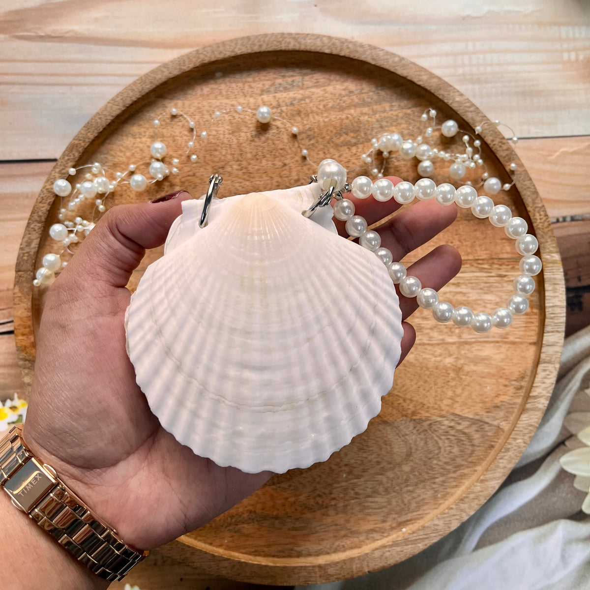 1 Pure White Seashells Handcrafted Eco Friendly Seaside Souvenir Journal